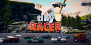 Tiny Racer (Switch) Review