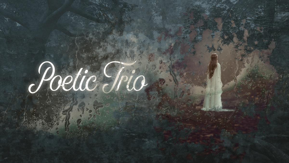 Poetic Trio (XSX) Review